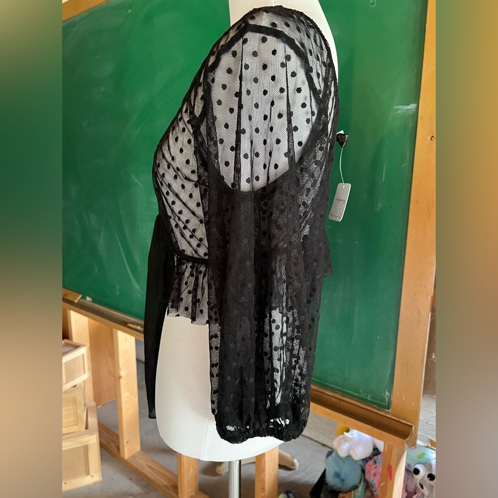 Only Hearts Black Sheer Crop Top - Picture 4 of 5
